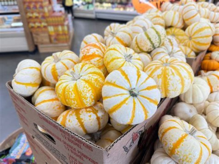 Can you eat tiger striped pumpkins?