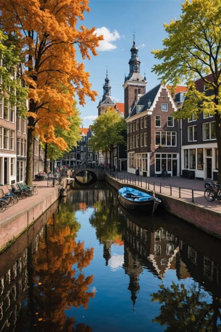 Uncover Hidden Gems And Insights: Alina Burroughs Wikipedia Explored