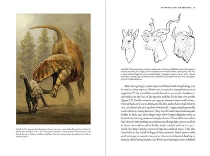 Uncovering The Secrets Of Natalya Rudakova's Husband: Discoveries And Insights